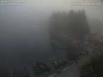Archiv Foto Webcam Mummelsee Panorama 11:00