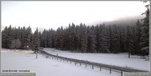 Archiv Foto Webcam Pokljuka: Biathlonstadion Eingang 06:00