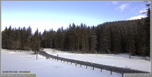 Archiv Foto Webcam Pokljuka: Biathlonstadion Eingang 13:00