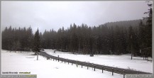 Archiv Foto Webcam Pokljuka: Biathlonstadion Eingang 15:00