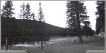 Archiv Foto Webcam Pokljuka: Wetterstation am Biathlonstadion 05:00