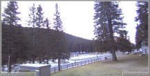 Archiv Foto Webcam Pokljuka: Wetterstation am Biathlonstadion 06:00