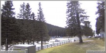 Archiv Foto Webcam Pokljuka: Wetterstation am Biathlonstadion 11:00