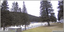 Archiv Foto Webcam Pokljuka: Wetterstation am Biathlonstadion 13:00