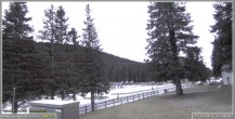 Archived image Webcam Pokljuka - Biathlon Center Weather Station 15:00