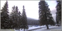 Archiv Foto Webcam Pokljuka: Wetterstation am Biathlonstadion 06:00