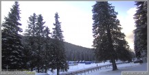 Archiv Foto Webcam Pokljuka: Wetterstation am Biathlonstadion 07:00