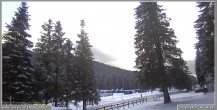 Archiv Foto Webcam Pokljuka: Wetterstation am Biathlonstadion 09:00