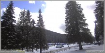 Archiv Foto Webcam Pokljuka: Wetterstation am Biathlonstadion 11:00