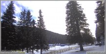 Archiv Foto Webcam Pokljuka: Wetterstation am Biathlonstadion 13:00