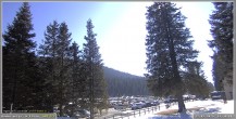 Archiv Foto Webcam Pokljuka: Wetterstation am Biathlonstadion 11:00