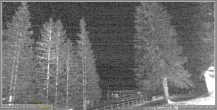 Archived image Webcam Pokljuka - Biathlon Center Weather Station 19:00