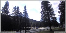 Archiv Foto Webcam Pokljuka: Wetterstation am Biathlonstadion 09:00