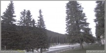 Archiv Foto Webcam Pokljuka: Wetterstation am Biathlonstadion 03:00