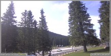 Archiv Foto Webcam Pokljuka: Wetterstation am Biathlonstadion 07:00