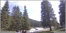 Archiv Foto Webcam Pokljuka: Wetterstation am Biathlonstadion 15:00