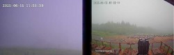 Archiv Foto Webcam Hochheidehütte Niedersfeld 11:00