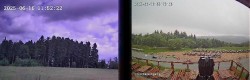 Archived image Webcam Niedersfeld: Hochheide Mountain Hut 11:00