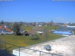Archived image Webcam Hardt in the Black Forest 11:00