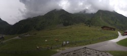 Archiv Foto Webcam Stubaier Oberbergtal - Oberiss Alm 13:00