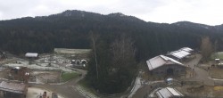 Archiv Foto Webcam Gut Aiderbichl bei Henndorf am Wallersee 09:00