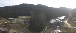 Archiv Foto Webcam Gut Aiderbichl bei Henndorf am Wallersee 11:00