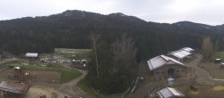 Archiv Foto Webcam Gut Aiderbichl bei Henndorf am Wallersee 13:00