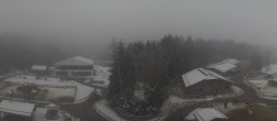 Archiv Foto Webcam Gut Aiderbichl bei Henndorf am Wallersee 07:00