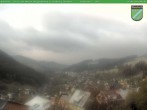 Archived image Webcam Manebach near Ilmenau 05:00
