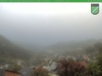 Archived image Webcam Manebach near Ilmenau 05:00