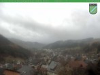 Archived image Webcam Manebach near Ilmenau 09:00