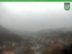 Archived image Webcam Manebach near Ilmenau 11:00