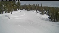 Archiv Foto Webcam Mt Bachelor: Nordic Center 11:00