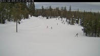 Archiv Foto Webcam Mt Bachelor: Nordic Center 13:00