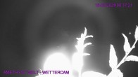 Archived image Webcam Amethyst World Maissau 23:00