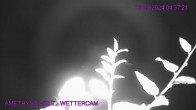 Archived image Webcam Amethyst World Maissau 03:00