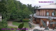 Archived image Webcam Amethyst World Maissau 06:00