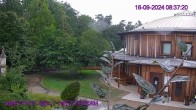 Archived image Webcam Amethyst World Maissau 07:00