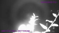 Archived image Webcam Amethyst World Maissau 19:00