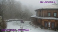 Archiv Foto Webcam Amethyst Welt Maissau 09:00