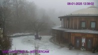 Archiv Foto Webcam Amethyst Welt Maissau 11:00