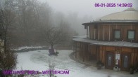 Archiv Foto Webcam Amethyst Welt Maissau 13:00