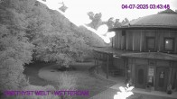 Archived image Webcam Amethyst World Maissau 03:00