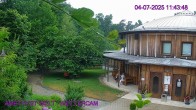 Archiv Foto Webcam Amethyst Welt Maissau 11:00