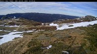 Archived image Webcam Thredbo: Basin Run and T-bar 04:00