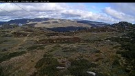 Archiv Foto Webcam Thredbo: Basin Schlepplift und Abfahrt 14:00