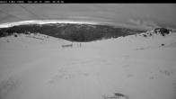 Archiv Foto Webcam Thredbo: Basin Schlepplift und Abfahrt 05:00