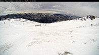 Archiv Foto Webcam Thredbo: Basin Schlepplift und Abfahrt 07:00