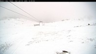 Archiv Foto Webcam Thredbo: Basin Schlepplift und Abfahrt 11:00