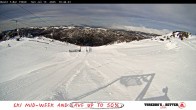 Archiv Foto Webcam Thredbo: Basin Schlepplift und Abfahrt 09:00